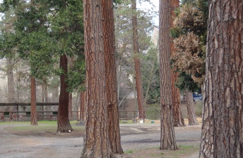 California Hot Springs Cabin | A little piece of heaven