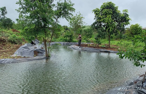 Igatpuri Cottage | A lovely and cozy Farm Cottage amidst nature where you can be yourself!