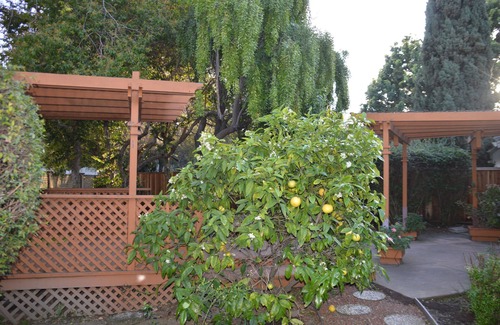 Ardenwood House | A personal oasis! A single story home in a resort with spacious rooms and yard !