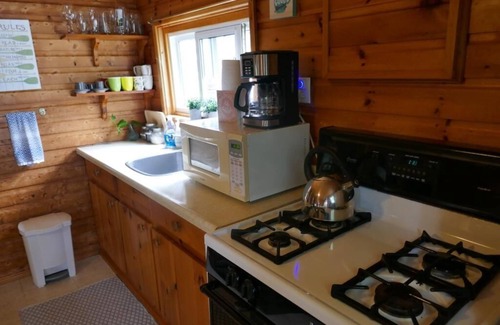 Whitestone Cabin | A Pet friendly, Cozy cabin for a relaxed stay.