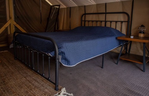 Saluda Cabin | A Place You'll Surely Enjoy! Short Drive to Little Bradley Falls, Pet-Friendly