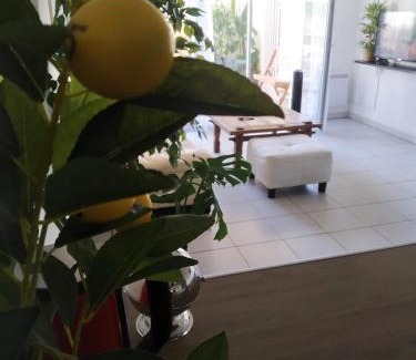 Poitiers Apartment | A Poitiers, 2 chambres, très bel appartement de 65 m2