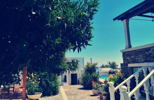 Castanheira de Pera House | A Quinta da Colina Adega