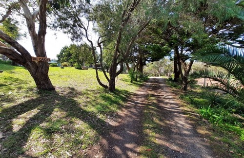 Fingal House | A relaxed fun Cosy Cabin- 5 min from ocean and bay beaches and the Hot springs