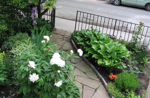 Cabbagetown South House | A Seaton Dream