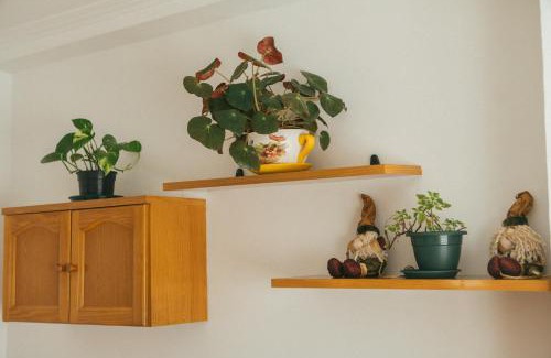 Redondela Apartment | A Solaina