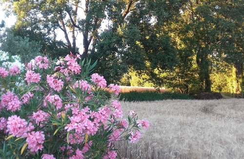 Pontes Cottage | A Stay at Innisfree, Our Provençal 'Haiku Home'.