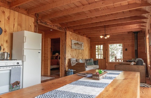 Lake City Cabin | A True Escape, Technology Free in Beautiful Southwest Colorad - Pet Friendly