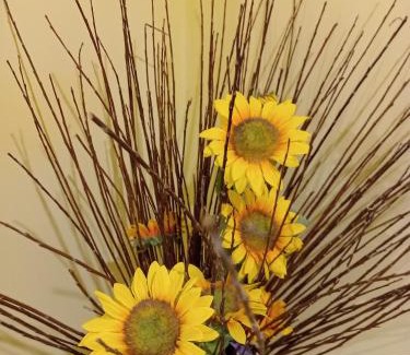 Castelnuovo di Porto Bed & Breakfast | A1 Girasole B&B