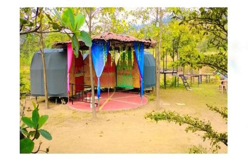 Javan Other | Aangan Village Farm Maval