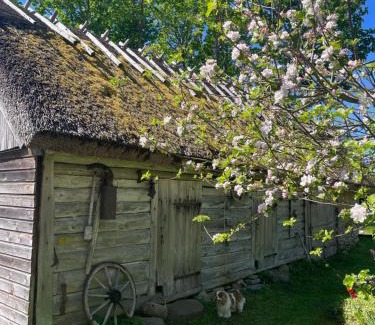 Saaremaa House | Aaviku Holiday Houses