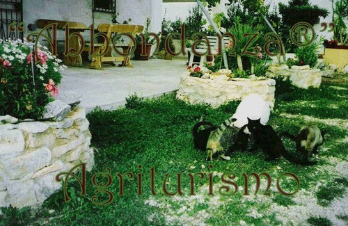 Alberobello Bed & Breakfast | Abbondanza® The Farm House