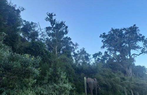 Nyandarua House | Aberdare white camp house kenya