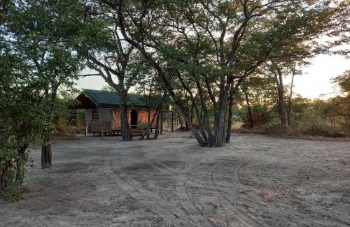Maun Other | Acacia Camp