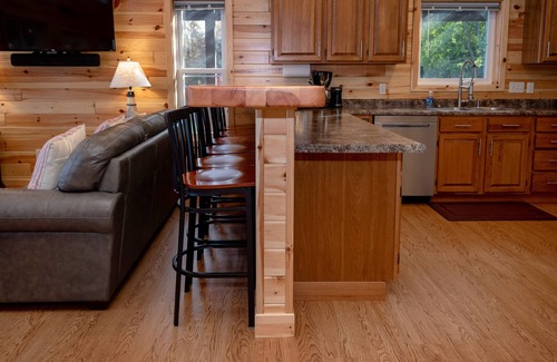 Cassopolis House | Accessible Blue Spruce Lodge: 340 ft of Lake Frontage, 80-ft wide Sandy Beach!