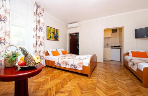Rafajlovici Apartment | ACIKA apartments