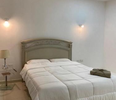 Fernando De La Mora Apartment | Acogedor y espacioso hospedaje a pasos del eje corporativo