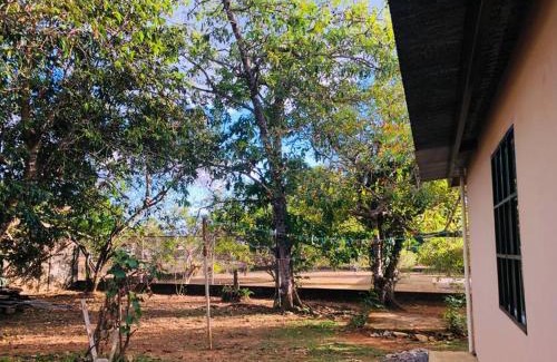David Apartment | Acogedora vivienda anexa en un barrio tranquilo
