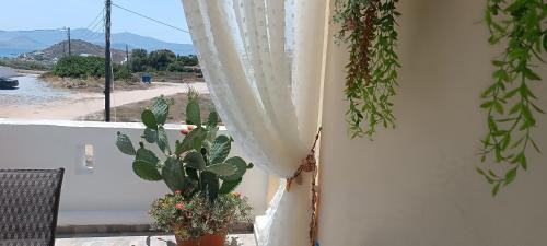 Agios Prokopios House | Actis Studios