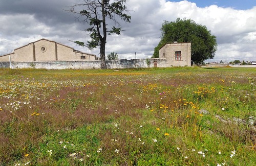 San Sebastian Villa | Aculco Cultural Forum