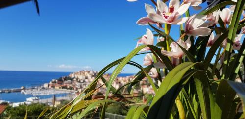 Imperia Apartment | AdeleBeppe "The SeaView"