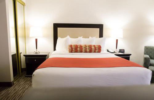 Hamilton Hotel | Admiral Inn Hamilton