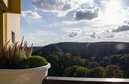Hohegeiß Apartment | Admire the Harz mountains from above