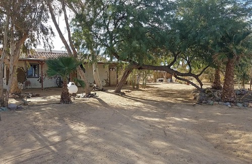 Wonder Valley House | Adobe in the Rancho 1930s Palm Trees