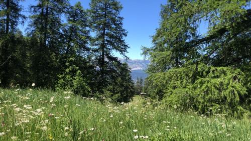 Guillaumes Hotel | Adonis Le Chastellan