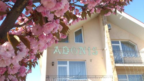 Uzhhorod House | Adonis