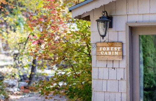 Snowbird Apartment | Adorable Studio Cabin on Big Cottonwood River