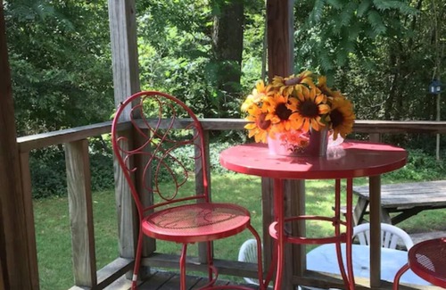Mena House | Adorable tiny house, private, wooded view, stream, edge of national forest, near Wolf Pen
