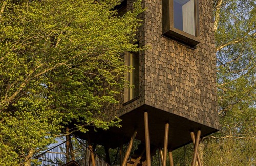 Sulzberg House | Adventure tree house, Baldauf family - Tree house