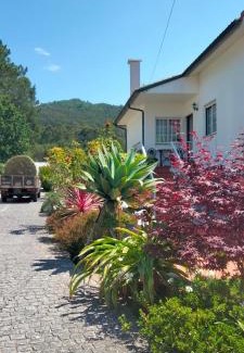 Afife House | AFIFE "Porta da Alegria"
