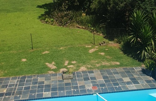 Howick House | African Gem