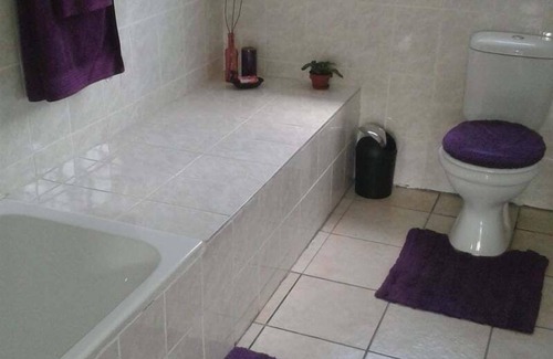 Mbabane Bed & Breakfast | African Violet