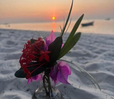 Mafia Island Bed & Breakfast | AfroWhaleSharkSafari & AfroBeachBungalows