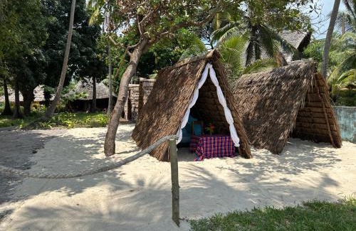 Mafia Island Bed & Breakfast | AfroWhaleSharkSafari & AfroBeachBungalows