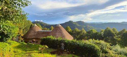 Luhizha Hotel | Agandi Uganda Eco-lodges
