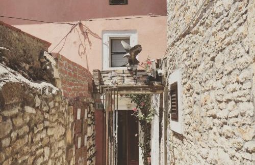Galizana House | Agni Heaven