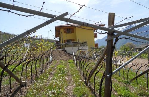 Martignano Bed & Breakfast | Agritur al Vigneto