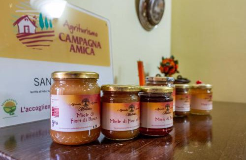 Castiglione della Pescaia House | Agriturismo Santagermana
