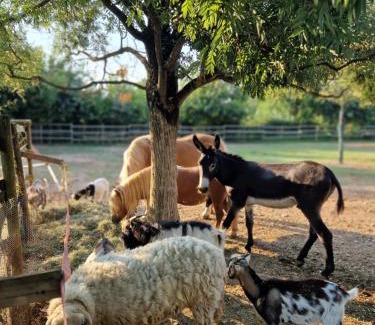 Gozzolina House | Agriturismo Corte Gaia