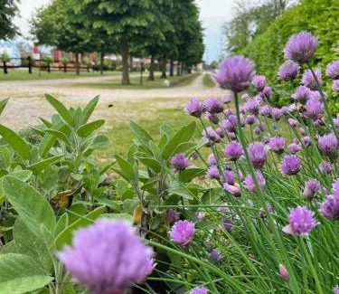 Lavariano House | Agriturismo Al Buttasella