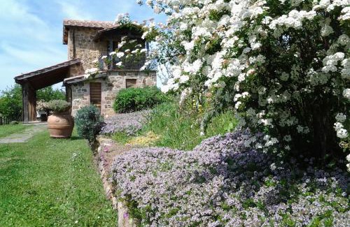 Semproniano House | Agriturismo Casa Fibbianello