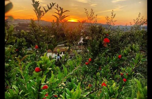 Montespertoli Villa | Agriturismo Casale Ugolini