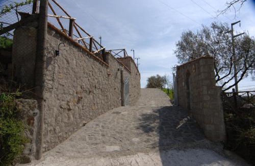 Montefiascone House | Agriturismo Casone