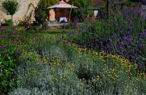 Torrazza House | Agriturismo Coppi Rossi