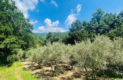 Lago House | Agriturismo Cupiglione