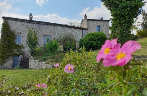 Acqualagna Apartment | Agriturismo del Frontino - Lo Studio